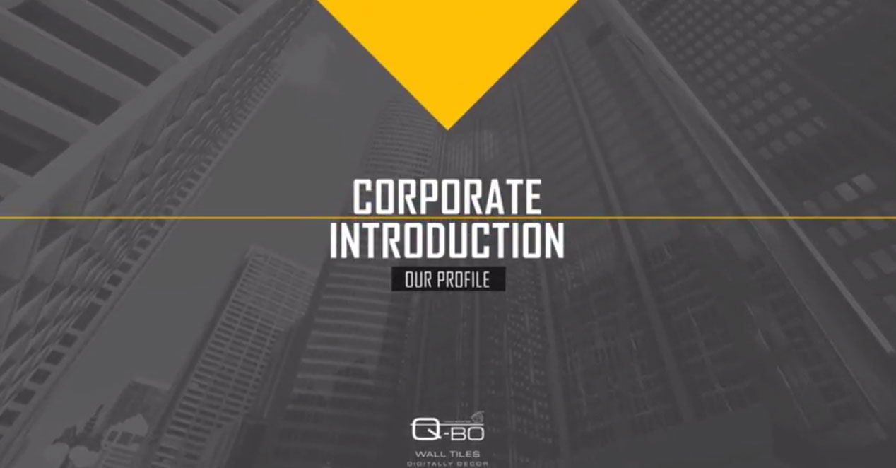 Q-BO Corporate Profile